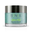 SNS Dip Powder SP12 Most Likely To Succeed Online Sale