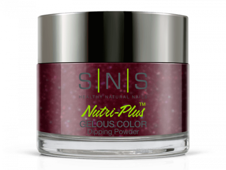 SNS Dip Powder WW10 Nutcracker Fashion