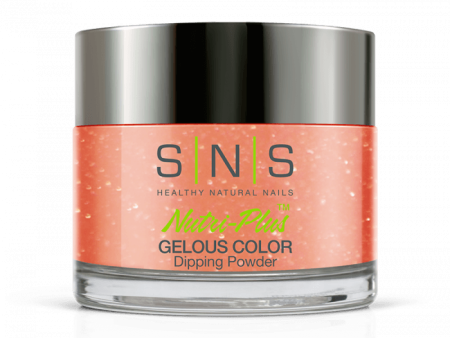 SNS Dip Powder SC17 Charm School Online Hot Sale